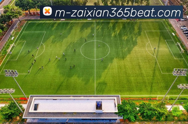 在线365beat服务体系